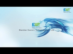 Литийная батарея Primart