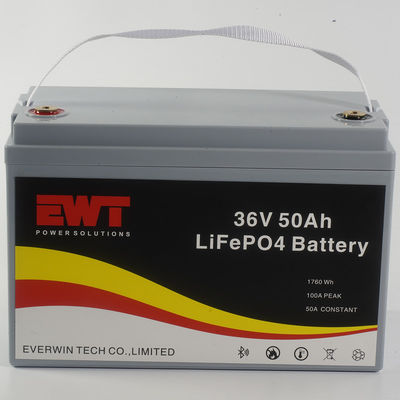 Купить Перезаряжаемая литий-ионная аккумуляторная батарея LiFePO4 36V 50Ah 1760Wh для гольф-коляски online manufacture