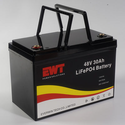 Настраиваемые аккумуляторы LifePo4 48V 30ah 1000w для аккумуляторного пакета для велосипедов
